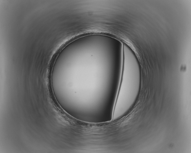 X0000091080387200708131302