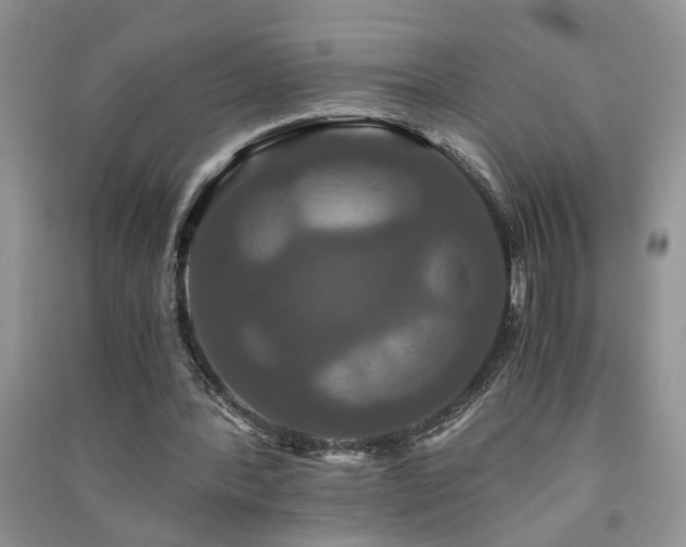 X0000091080388200708131302