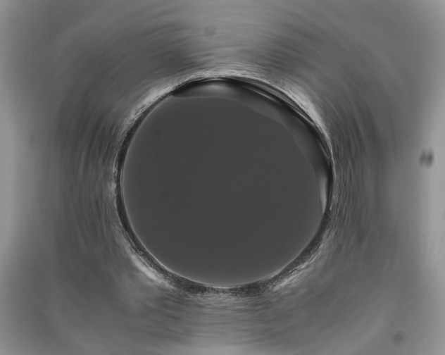 X0000091080389200708131302