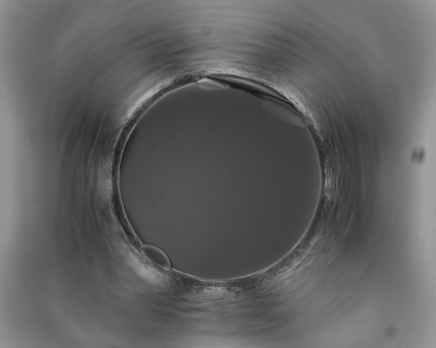 X0000091080390200708131302