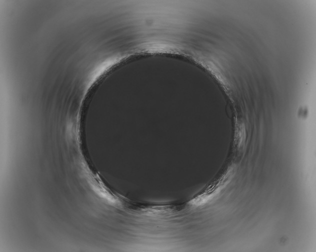 X0000091080391200708131302