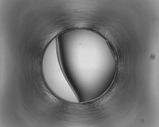 X0000091080393200708131302