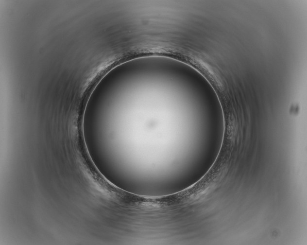 X0000091080394200708131302