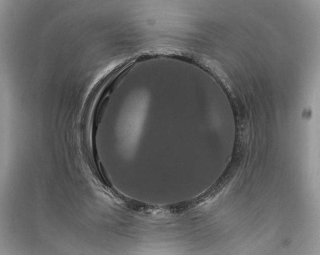 X0000091080395200708131302