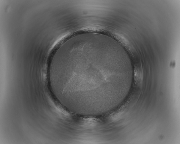 X0000091080396200708131302