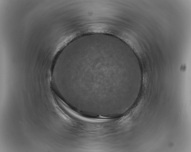 X0000091080397200708131302