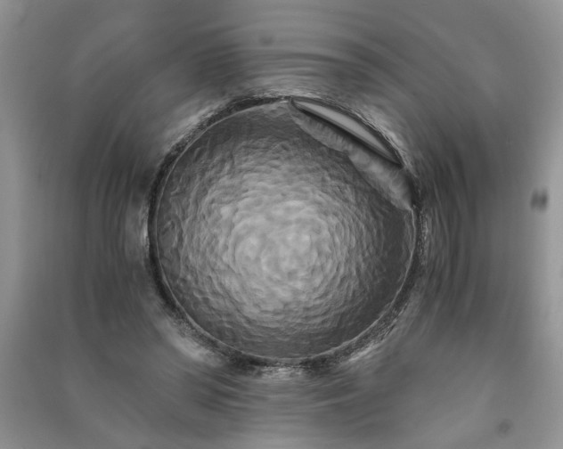 X0000091080398200708131302