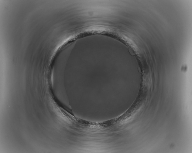 X0000091080399200708131302