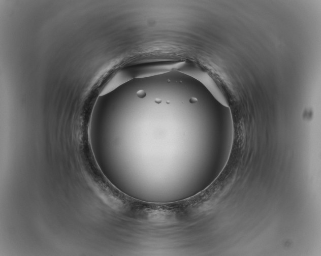 X0000091080400200708131302