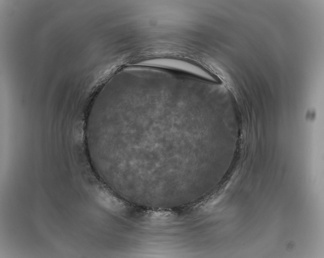 X0000091080401200708131302