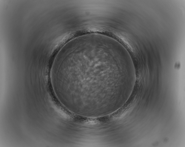 X0000091080402200708131302