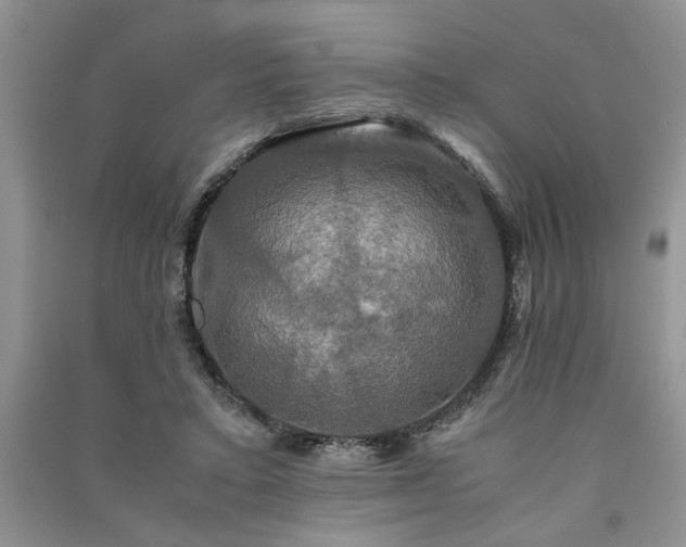 X0000091080403200708131301