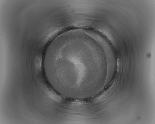 X0000091080404200708131301