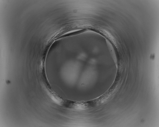 X0000091080405200708131301