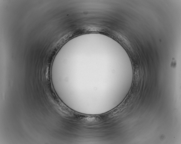 X0000091080406200708131301