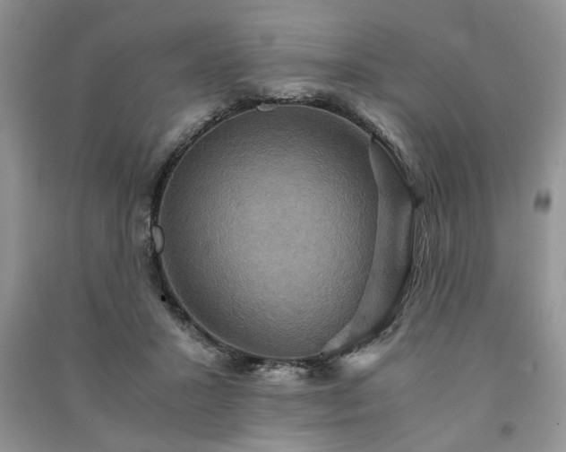 X0000091080407200708131301