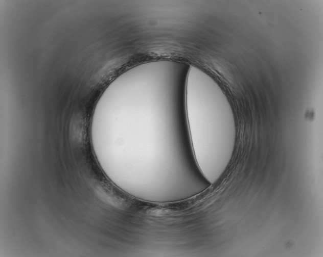 X0000091080408200708131301