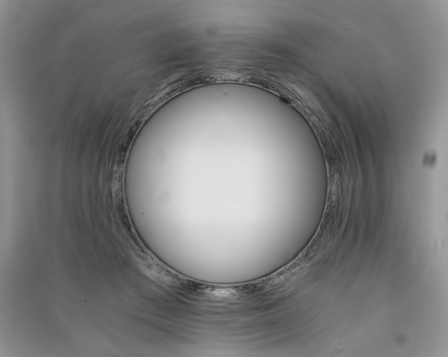 X0000091080409200708131301