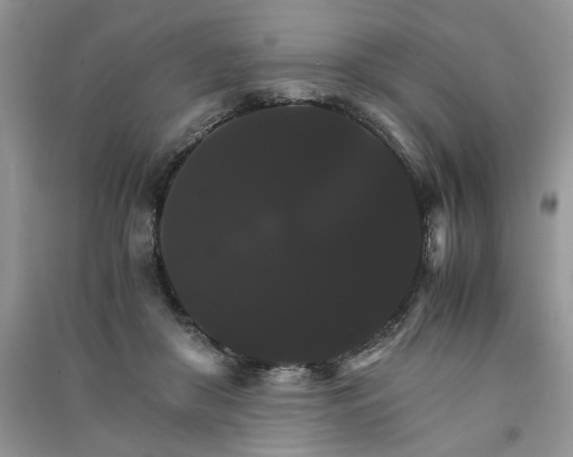 X0000091080410200708131301