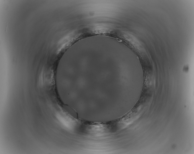 X0000091080411200708131301