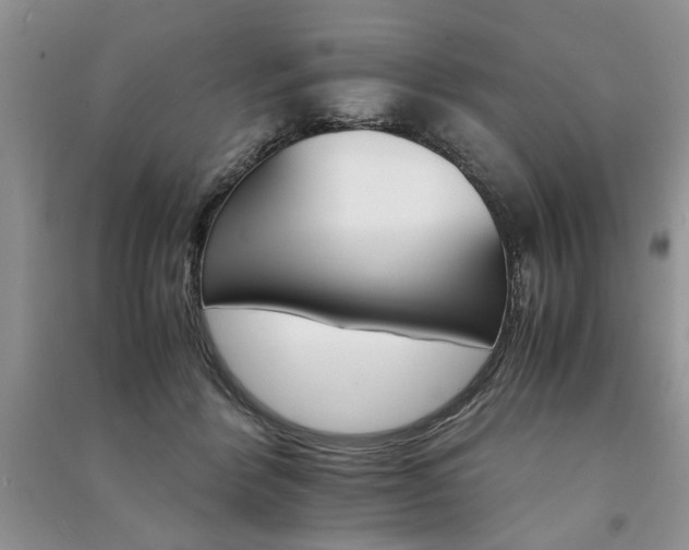 X0000091080412200708131301