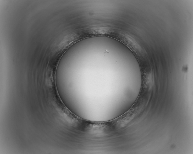 X0000091080414200708131301