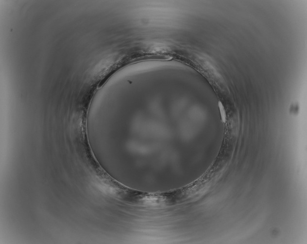 X0000091080415200708131301