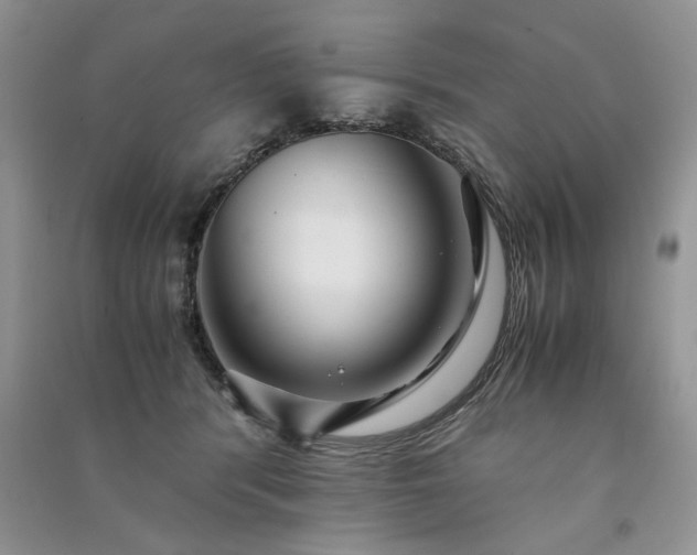 X0000091080416200708131301