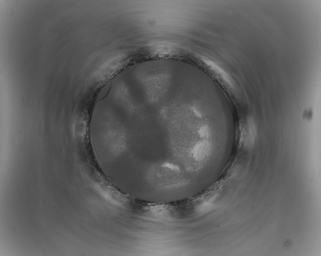 X0000091080417200708131301