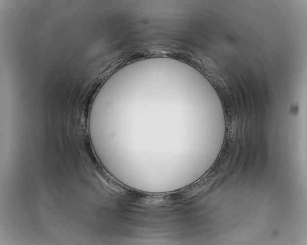 X0000091080418200708131301