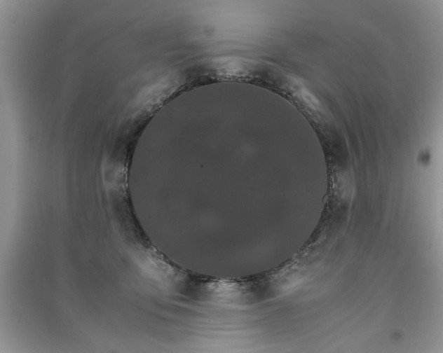 X0000091080419200708131301