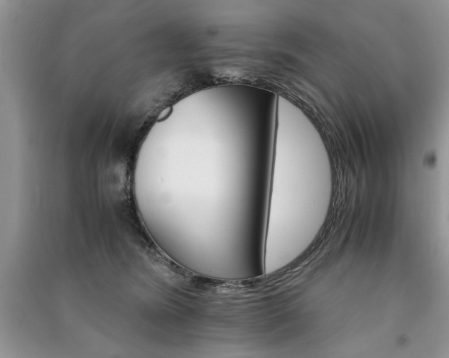 X0000091080420200708131301