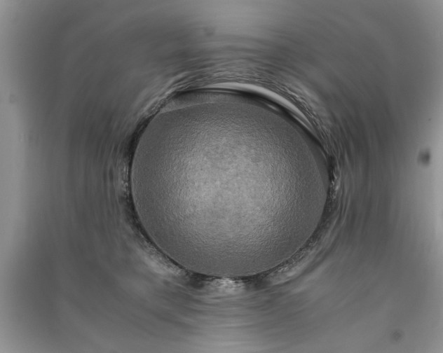 X0000091080421200708131301