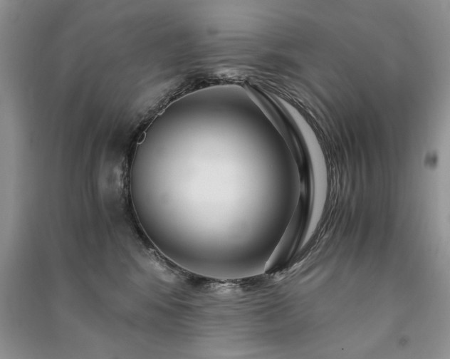 X0000091080424200708131301