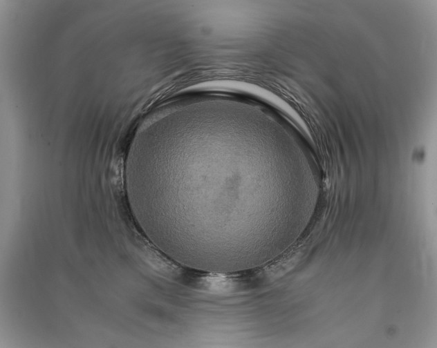 X0000091080425200708131301