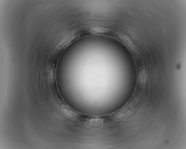 X0000091080426200708131301