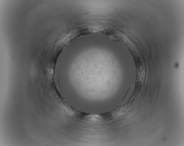 X0000091080427200708131301