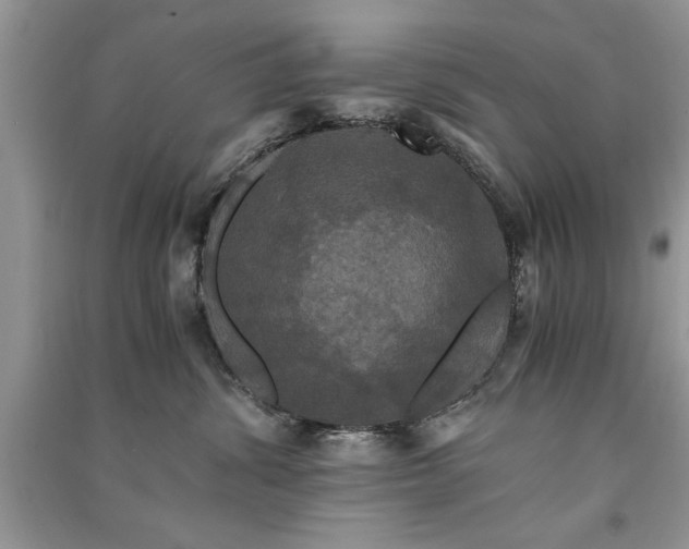 X0000091080428200708131301