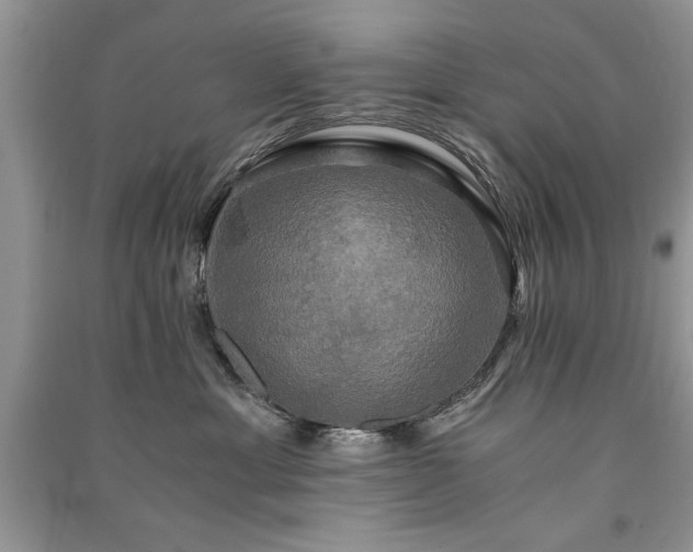 X0000091080429200708131301