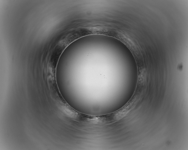 X0000091080430200708131301