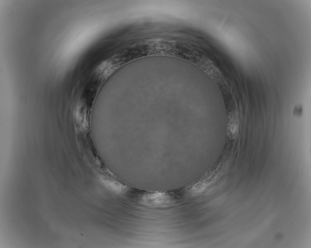 X0000091080431200708131301