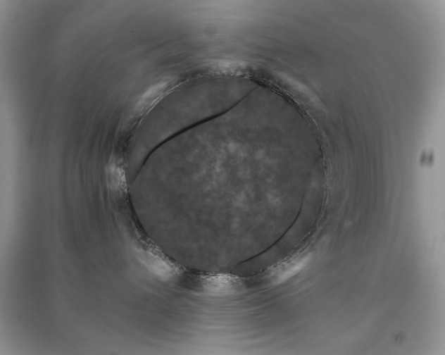 X0000091080432200708131301