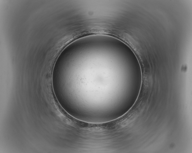 X0000091080433200708131300