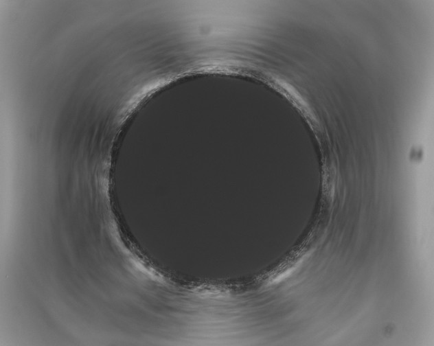 X0000091080434200708131300