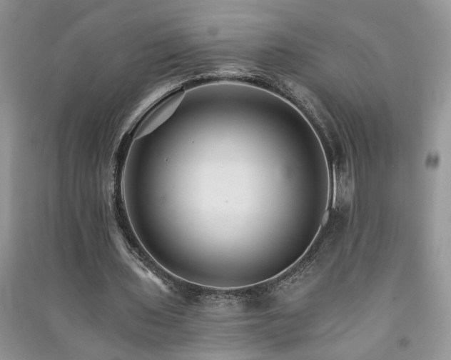 X0000091080435200708131300