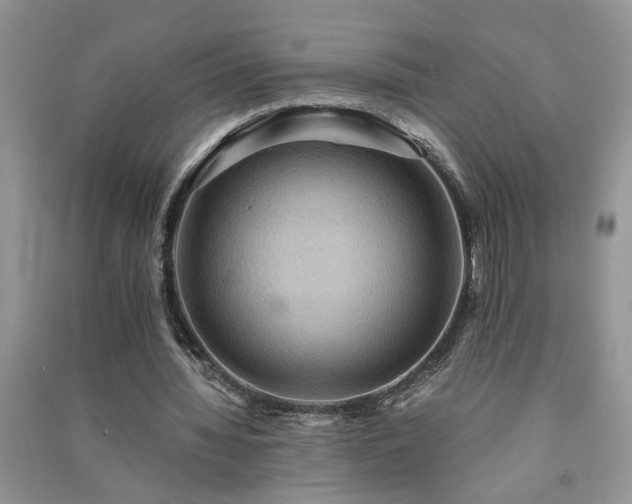 X0000091080436200708131300