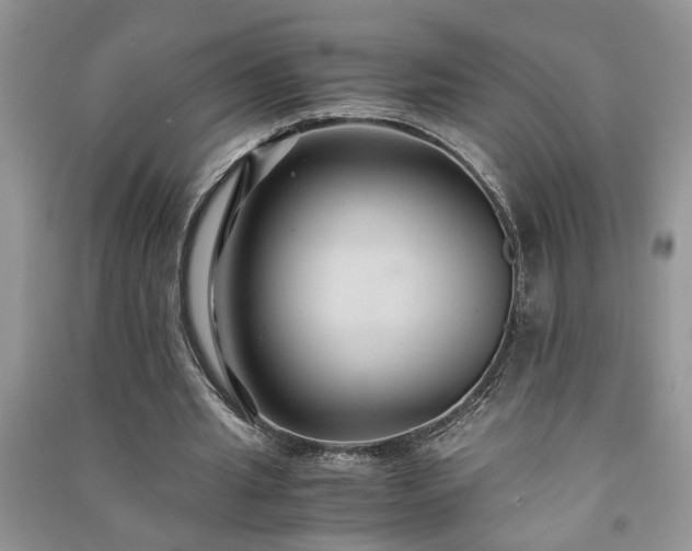 X0000091080437200708131300