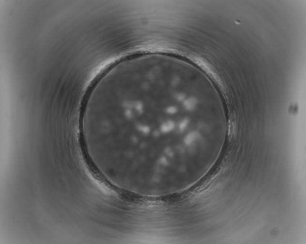 X0000091080438200708131300