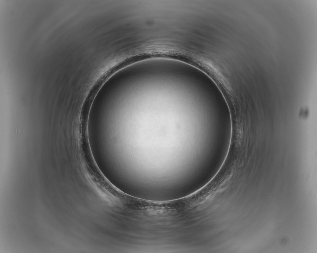 X0000091080439200708131300