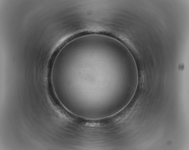 X0000091080440200708131300